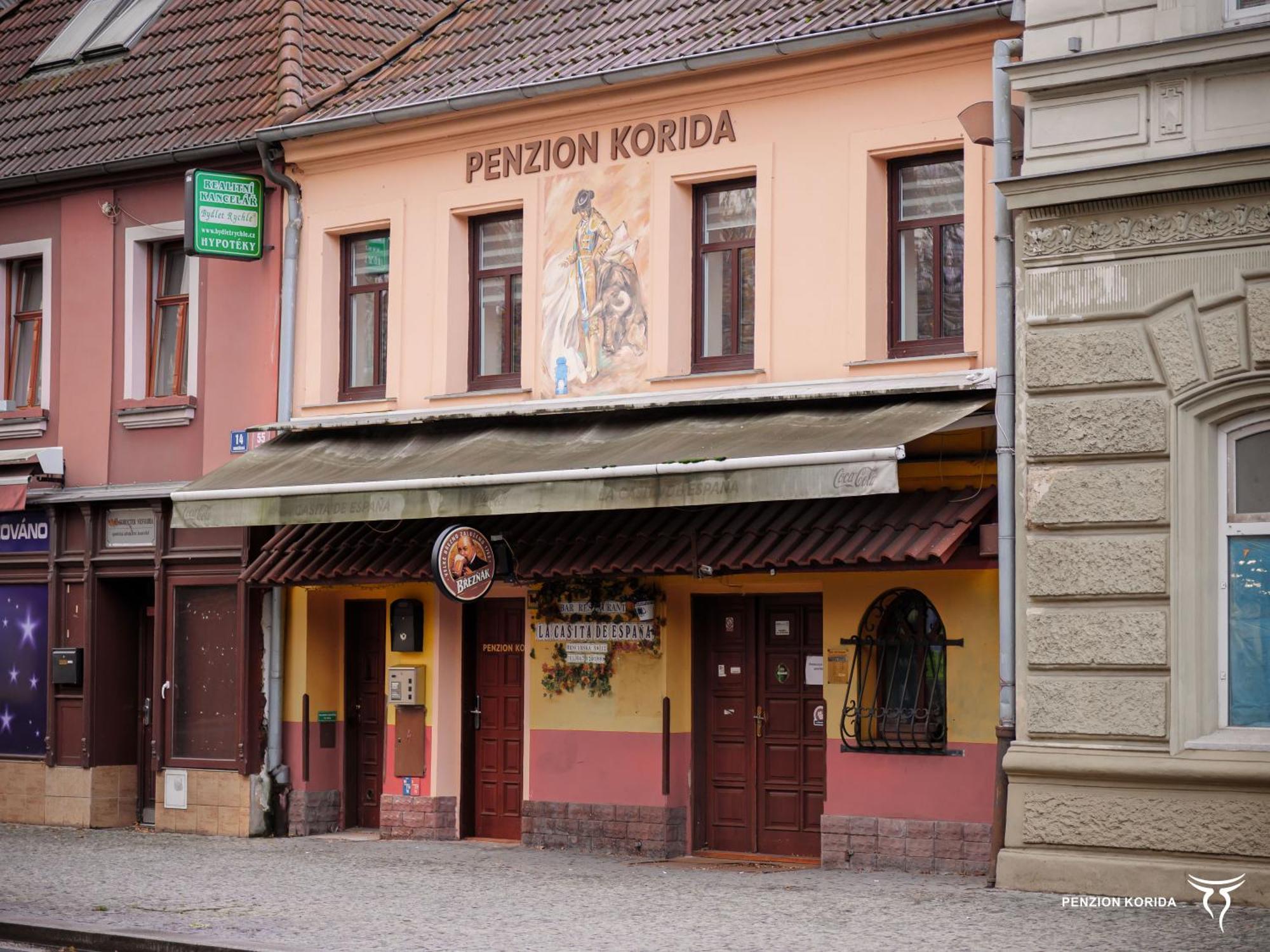 Penzion Korida Uście nad Łabą Zewnętrze zdjęcie